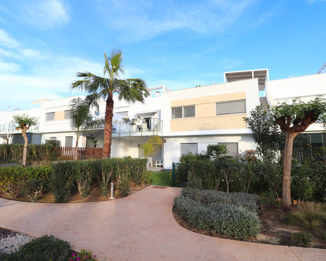 Apartamento - Venta - Los Montesinos - Entre Naranjos / Vistabella Golf