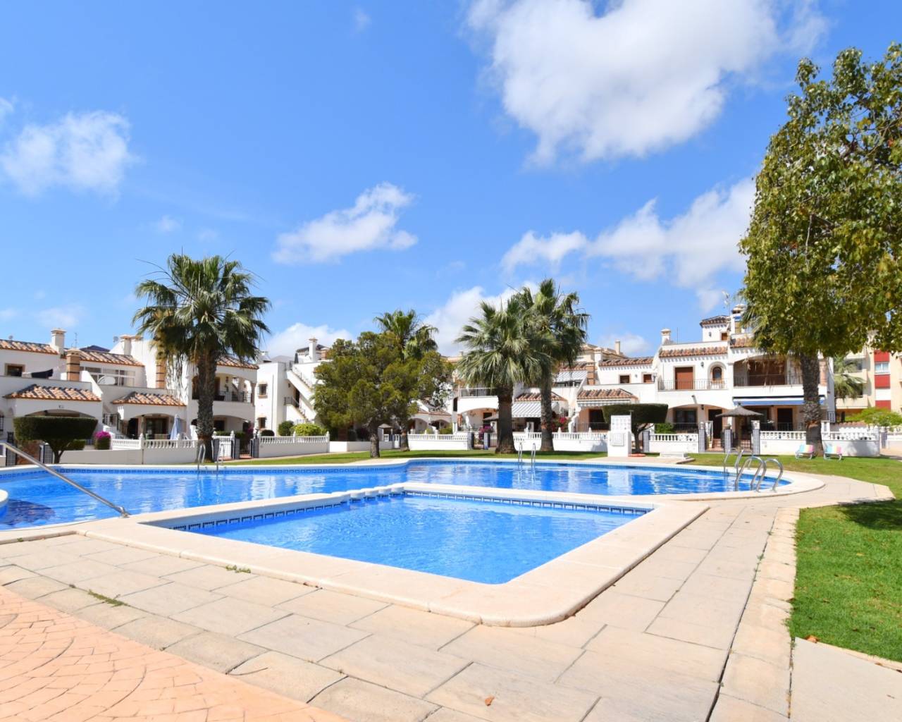 Apartamento - Venta - Orihuela Costa - Playa Flamenca