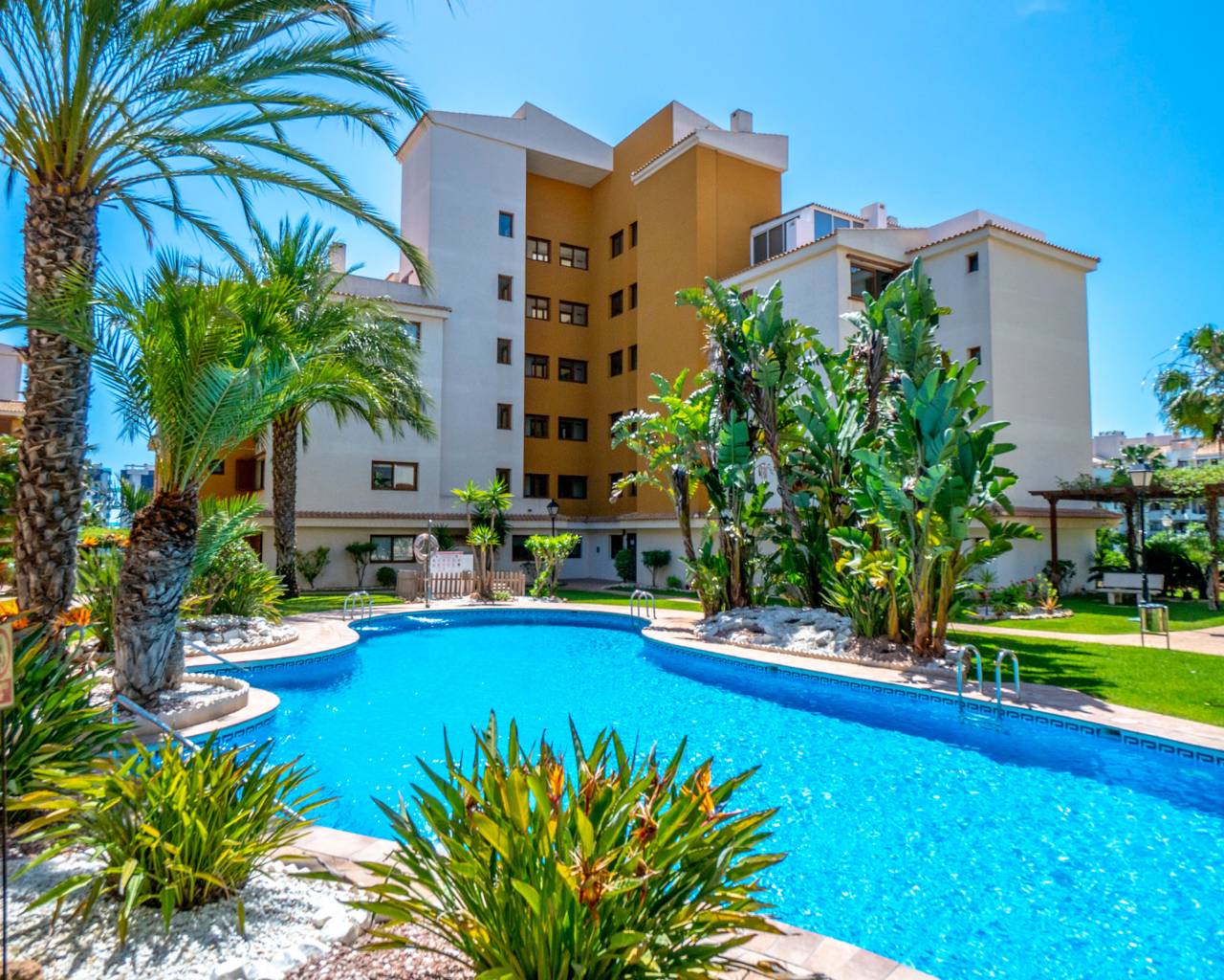 Apartment - Sale - Punta Prima - Punta Prima