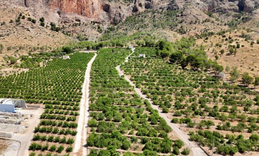 Finca / Country Property - Sale - Orihuela - Orihuela