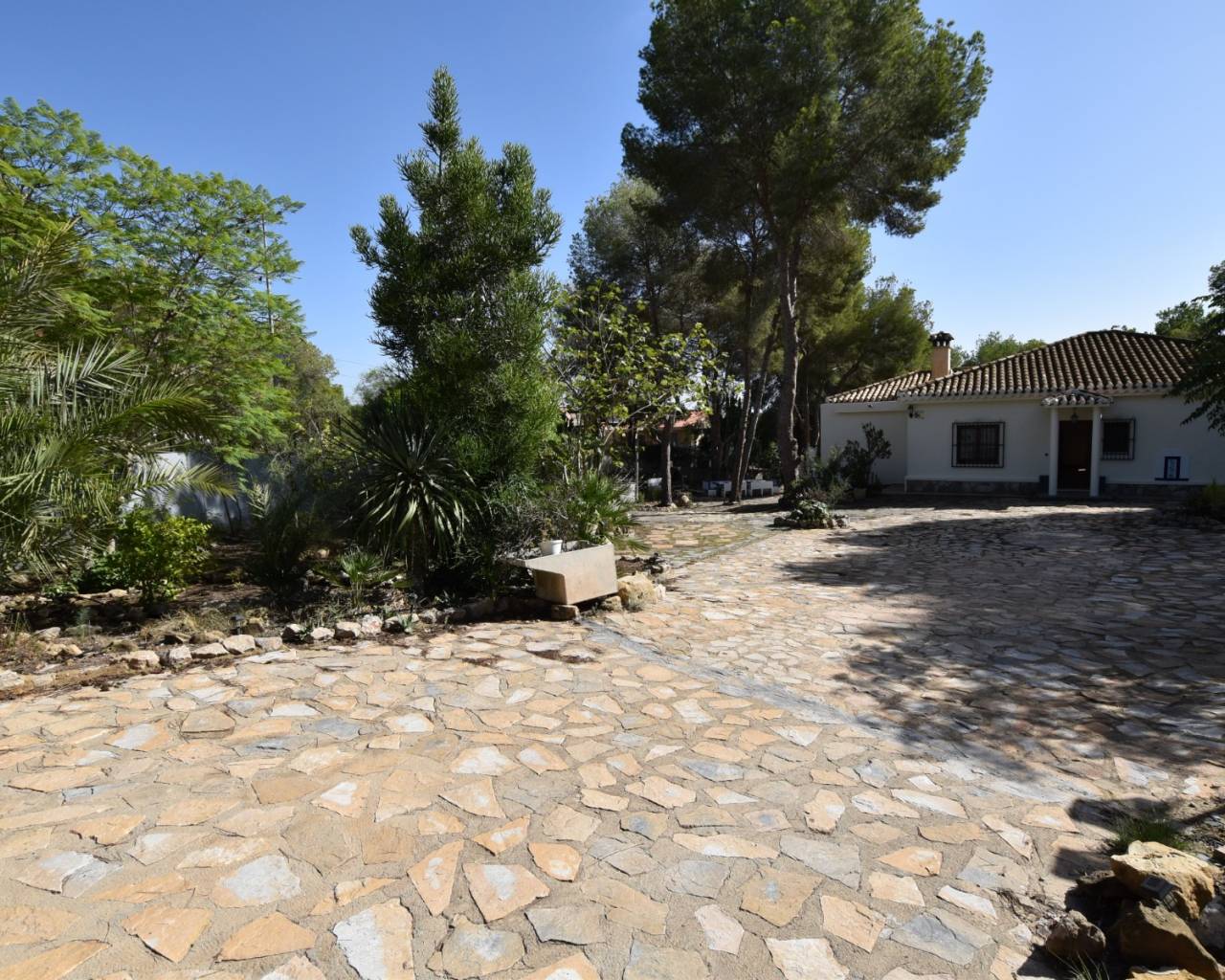 Finca - Sale - Algorfa - Montemar