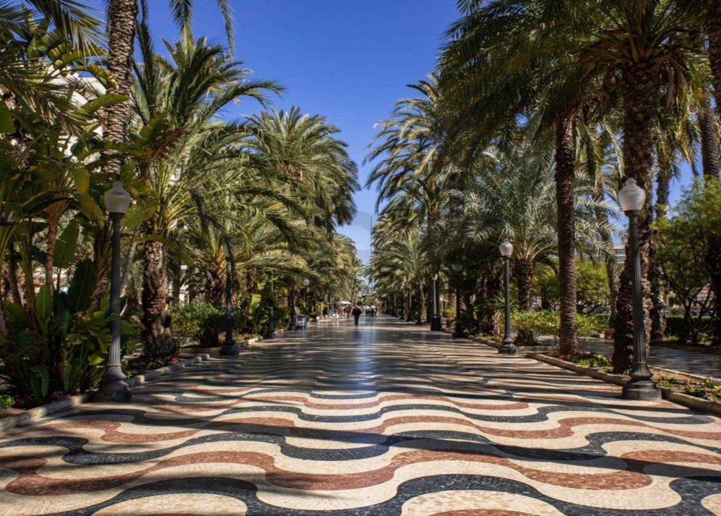 New Build - Apartment - Flat - Alicante - Centro