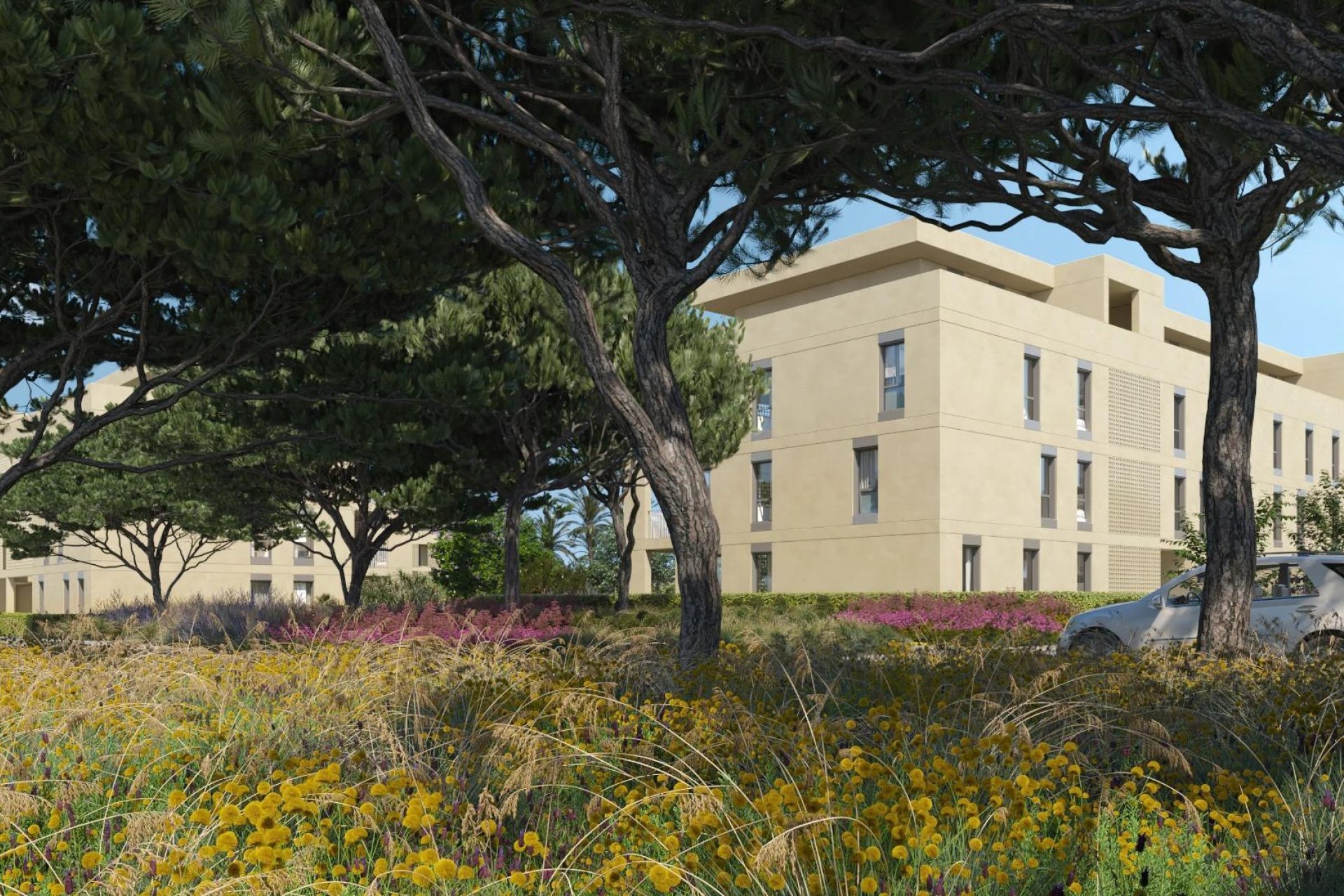 New Build - Apartment - Flat - Denia - Camí de Sant Joan