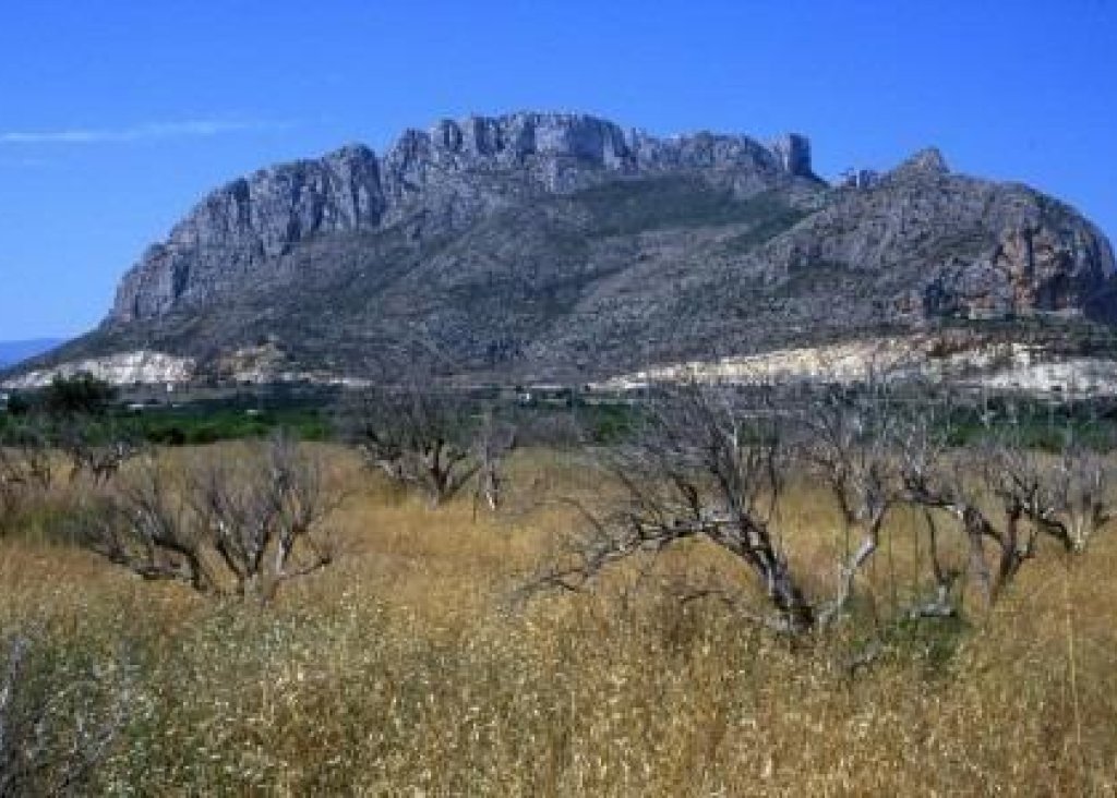 New Build - Apartment - Flat - El Verger - Playa de La Almadraba