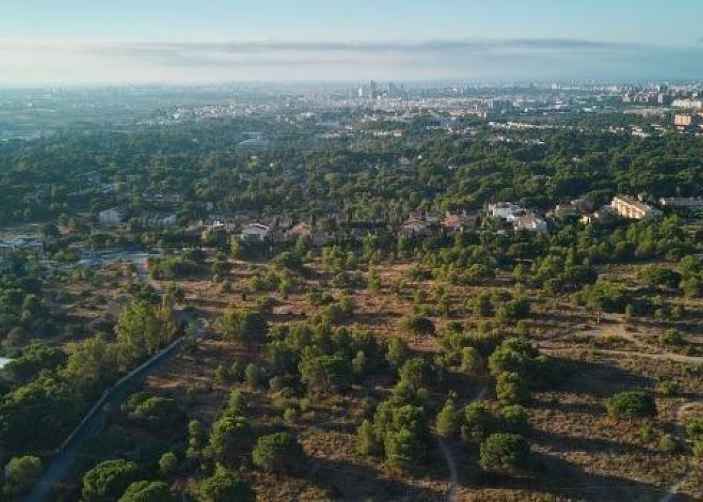 New Build - Apartment - Flat - Godella - Campolivar