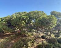 New Build - Apartment - Flat - Guardamar del Segura - Centro