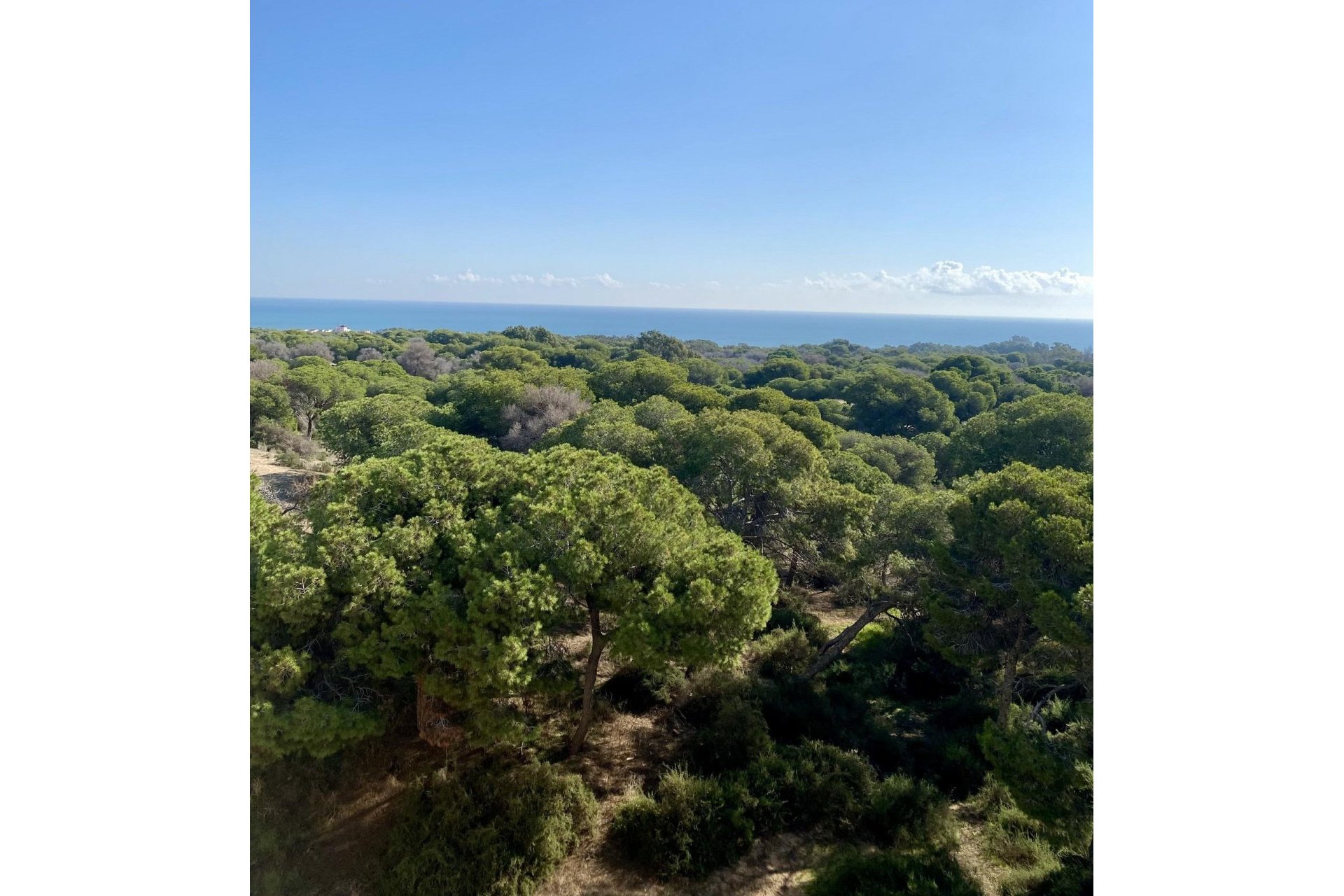New Build - Apartment - Flat - Guardamar del Segura - Centro