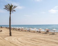 New Build - Apartment - Flat - Guardamar del Segura - Pueblo