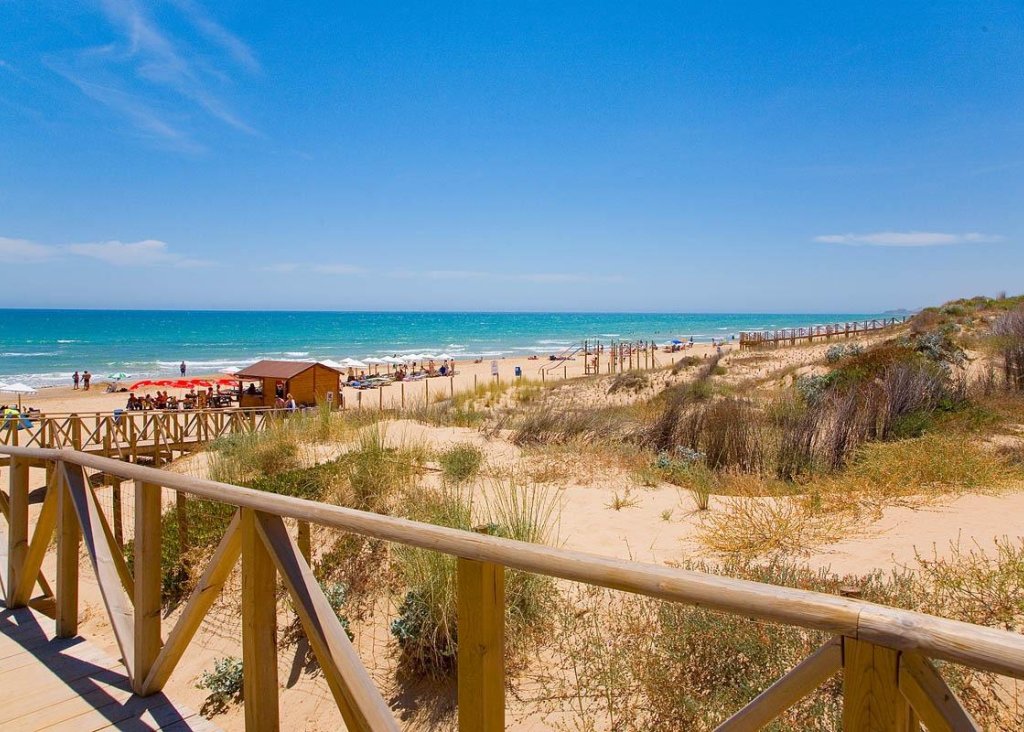 New Build - Apartment - Flat - Guardamar del Segura - Pueblo