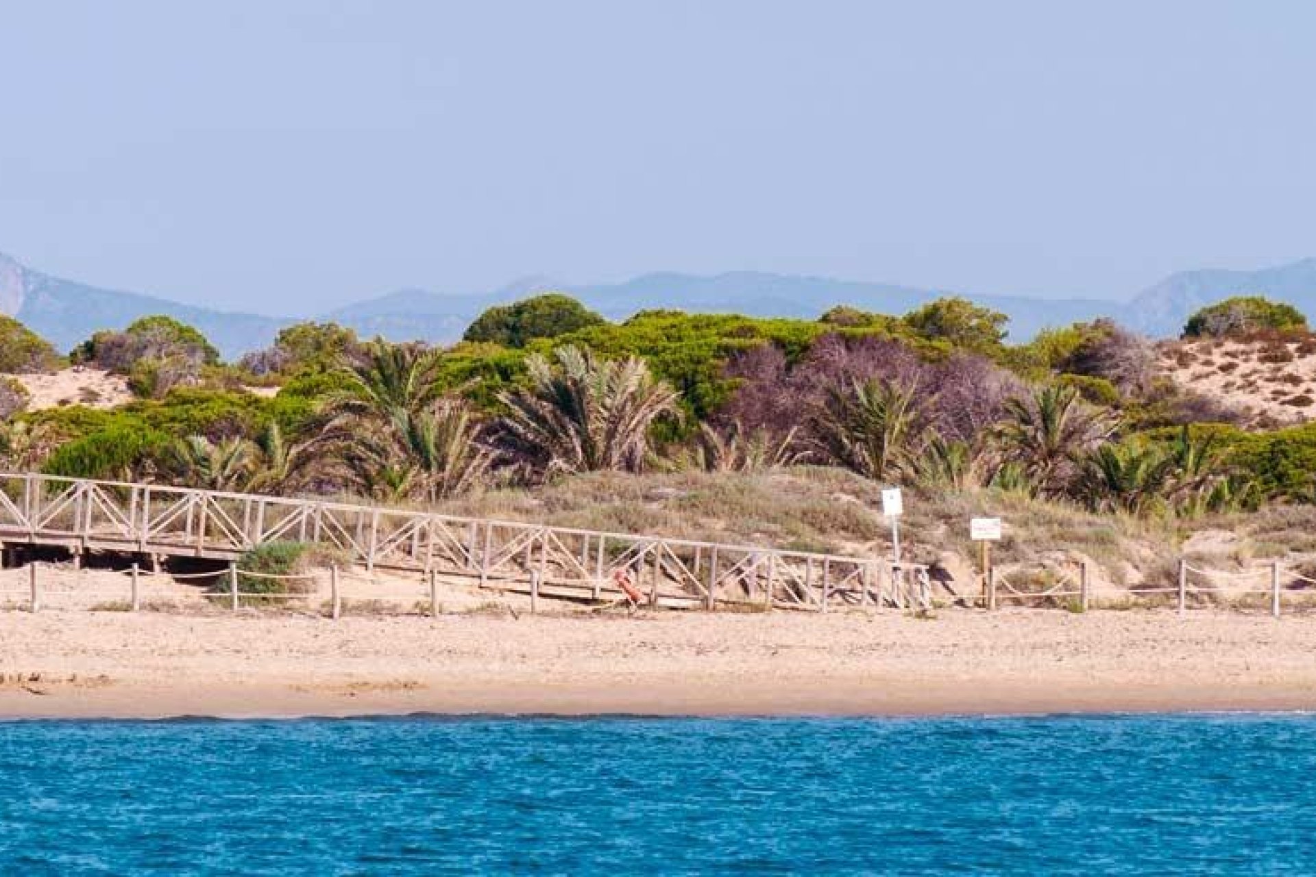 New Build - Apartment - Flat - Guardamar del Segura - Pueblo