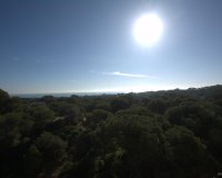 New Build - Apartment - Flat - Guardamar del Segura - Pueblo