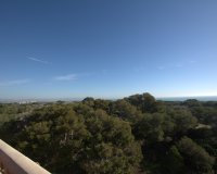 New Build - Apartment - Flat - Guardamar del Segura - Pueblo