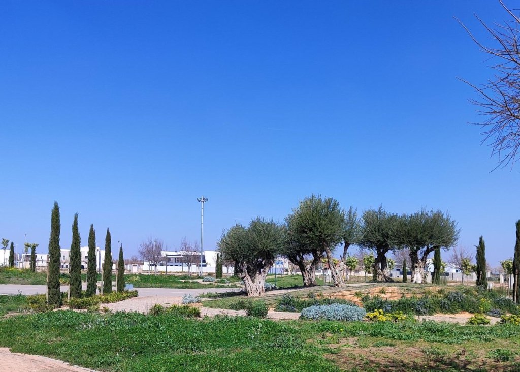 New Build - Apartment - Flat - Torre Pacheco - Centro