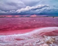 New Build - Apartment - Flat - Torrevieja - Centro