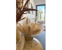 New Build - Bungalow - San Fulgencio - Pueblo