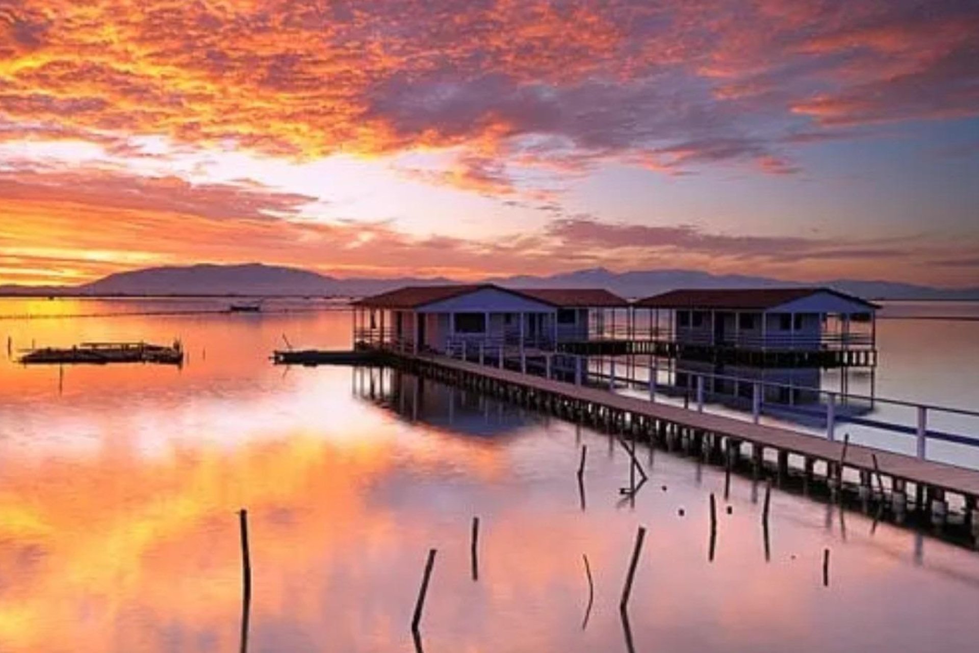 New Build - Bungalow - San Pedro del Pinatar - Los Pinos