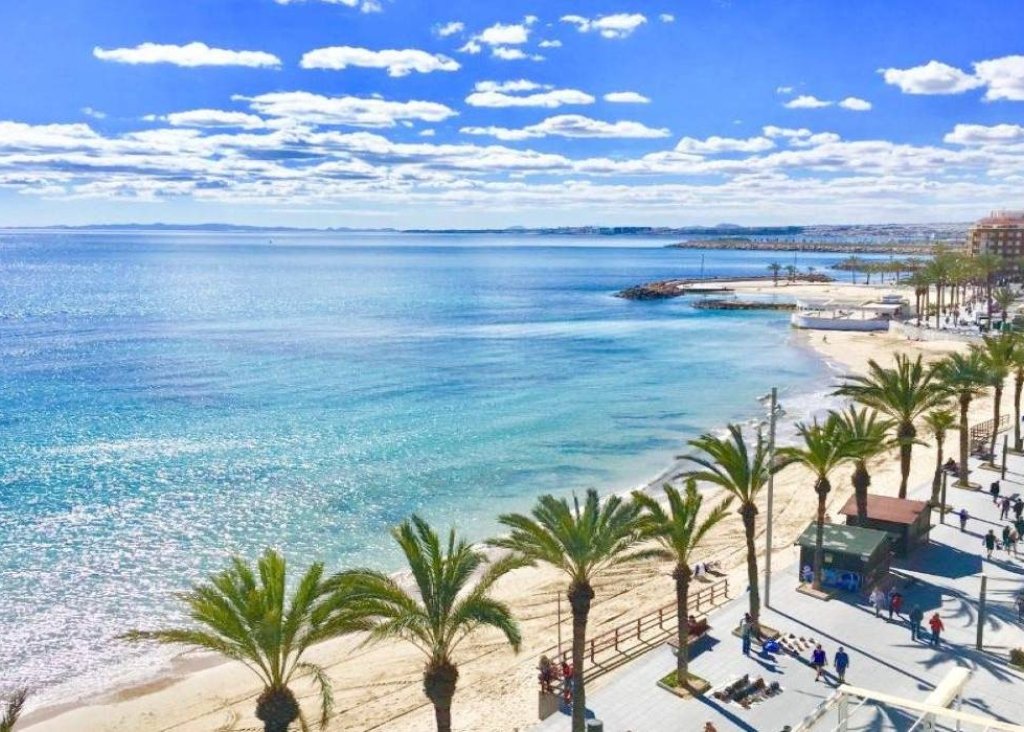 New Build - Bungalow - Torrevieja - Lago Jardín II