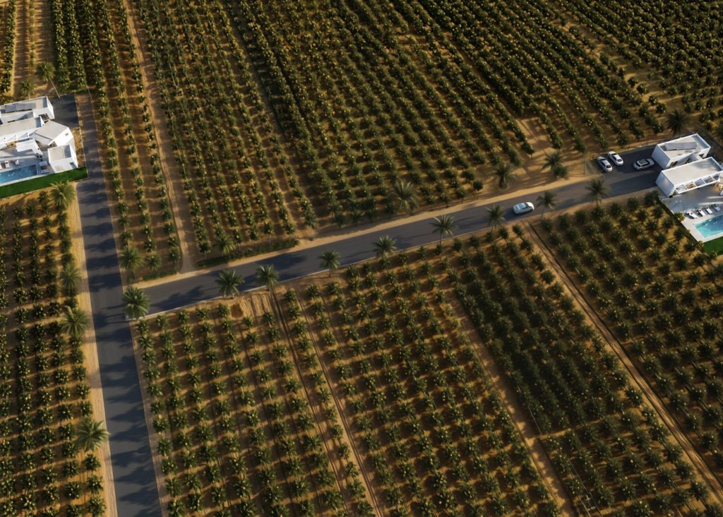 New Build - Villa - Benejúzar - alta