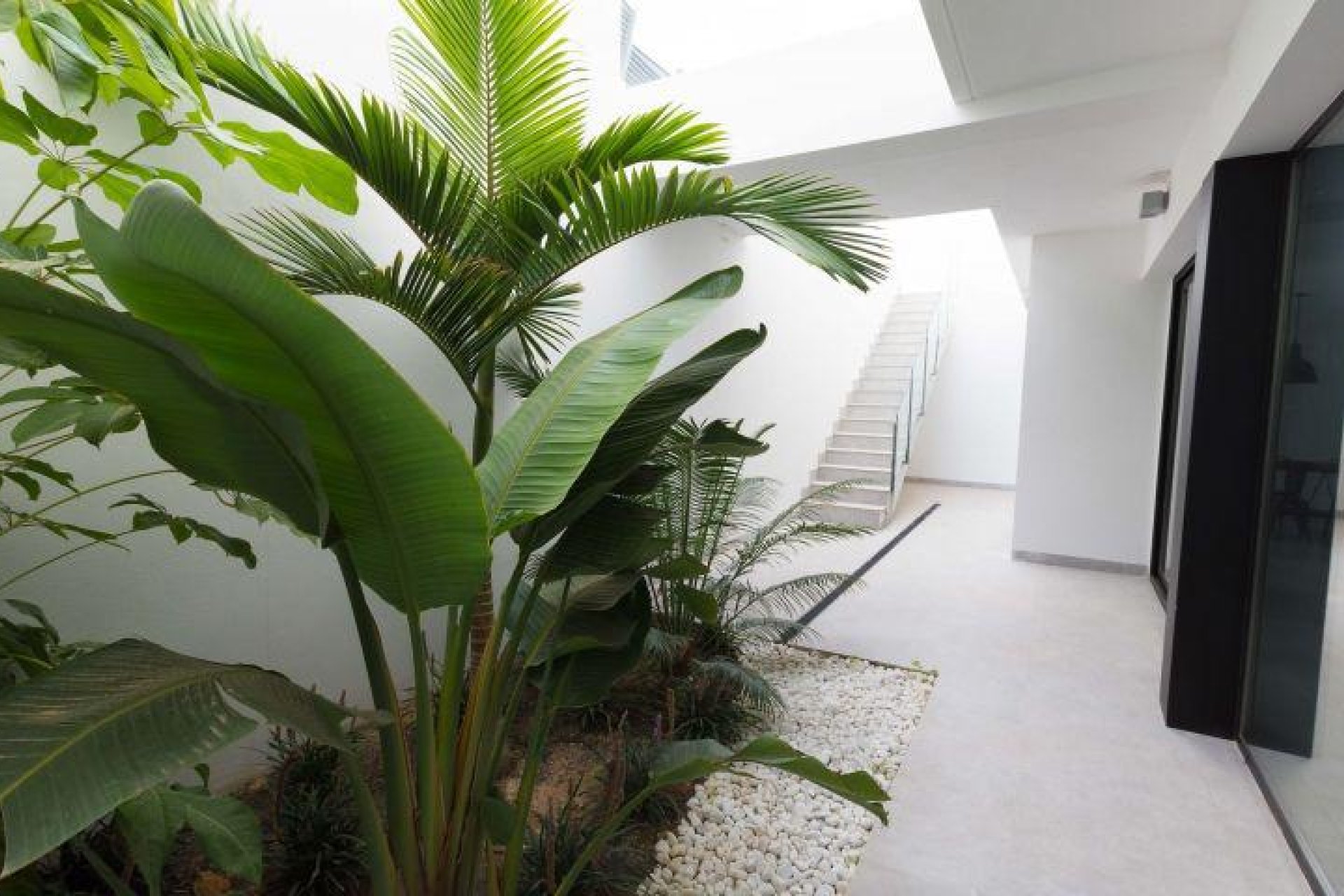 New Build - Villa - Finestrat - Campana garden