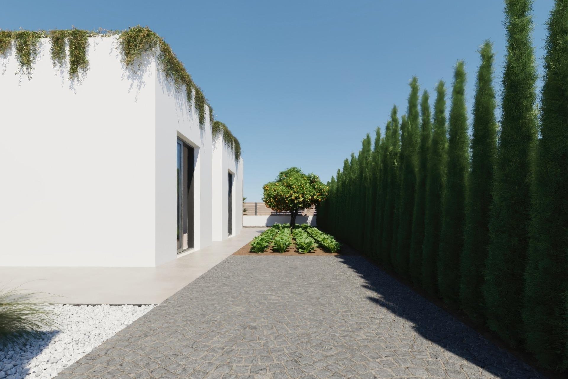 New Build - Villa - Fuente Alamo - Hacienda del Alamo