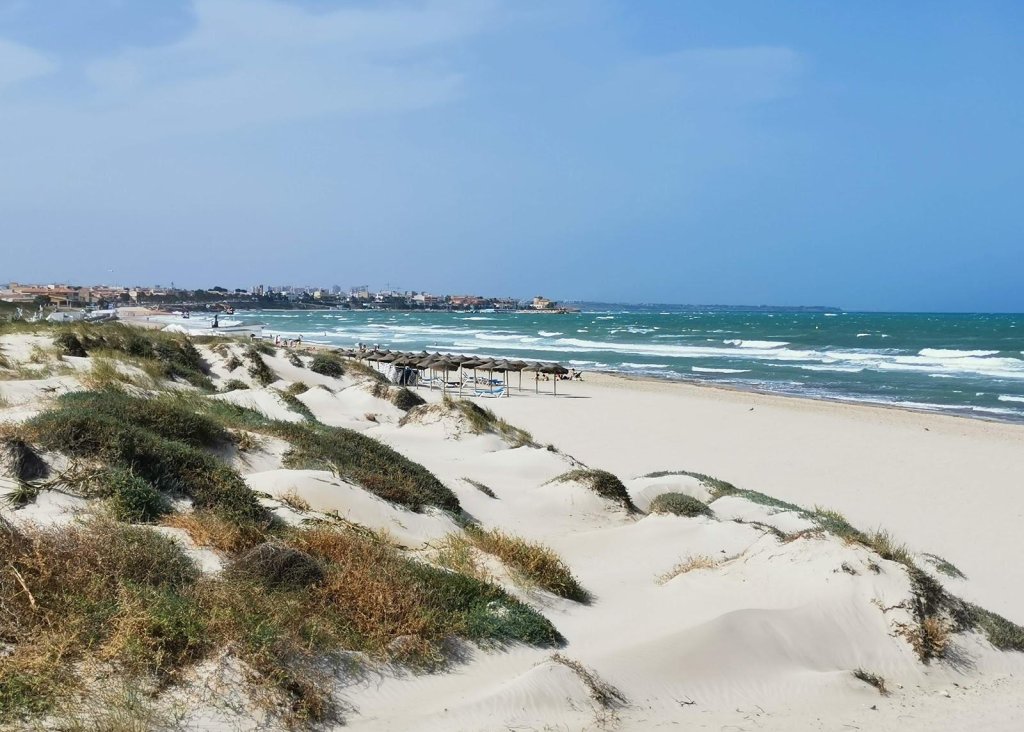 New Build - Villa - Pilar de la Horadada