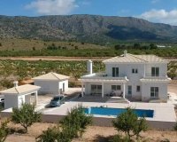 New Build - Villa - Pinoso - Camino Del Prado