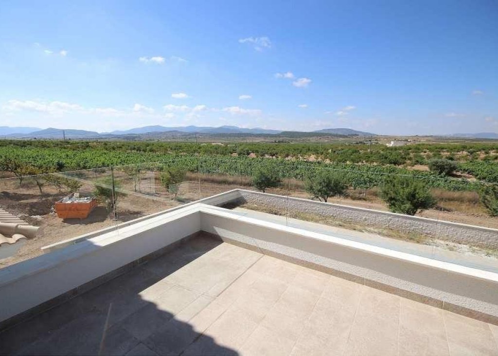 New Build - Villa - Pinoso - Camino Del Prado