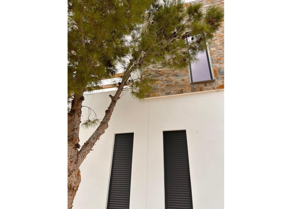 New Build - Villa - Pinoso - Casas Pastor