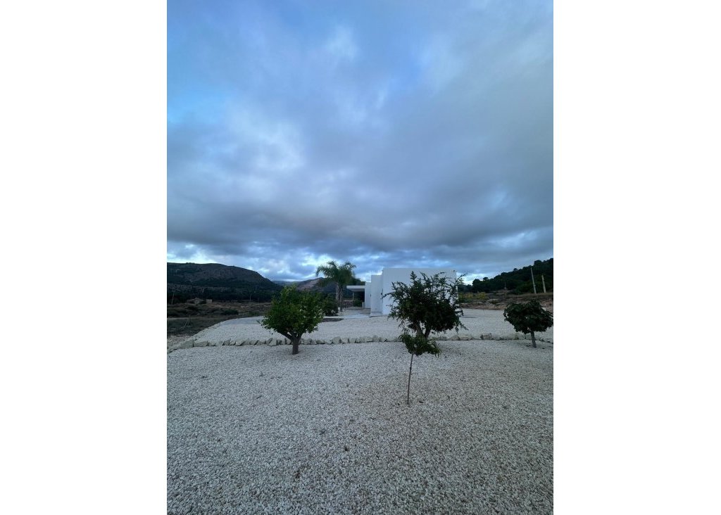 New Build - Villa - Pinoso - Casas Pastor