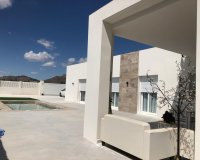 New Build - Villa - Pinoso - Casas Pastor