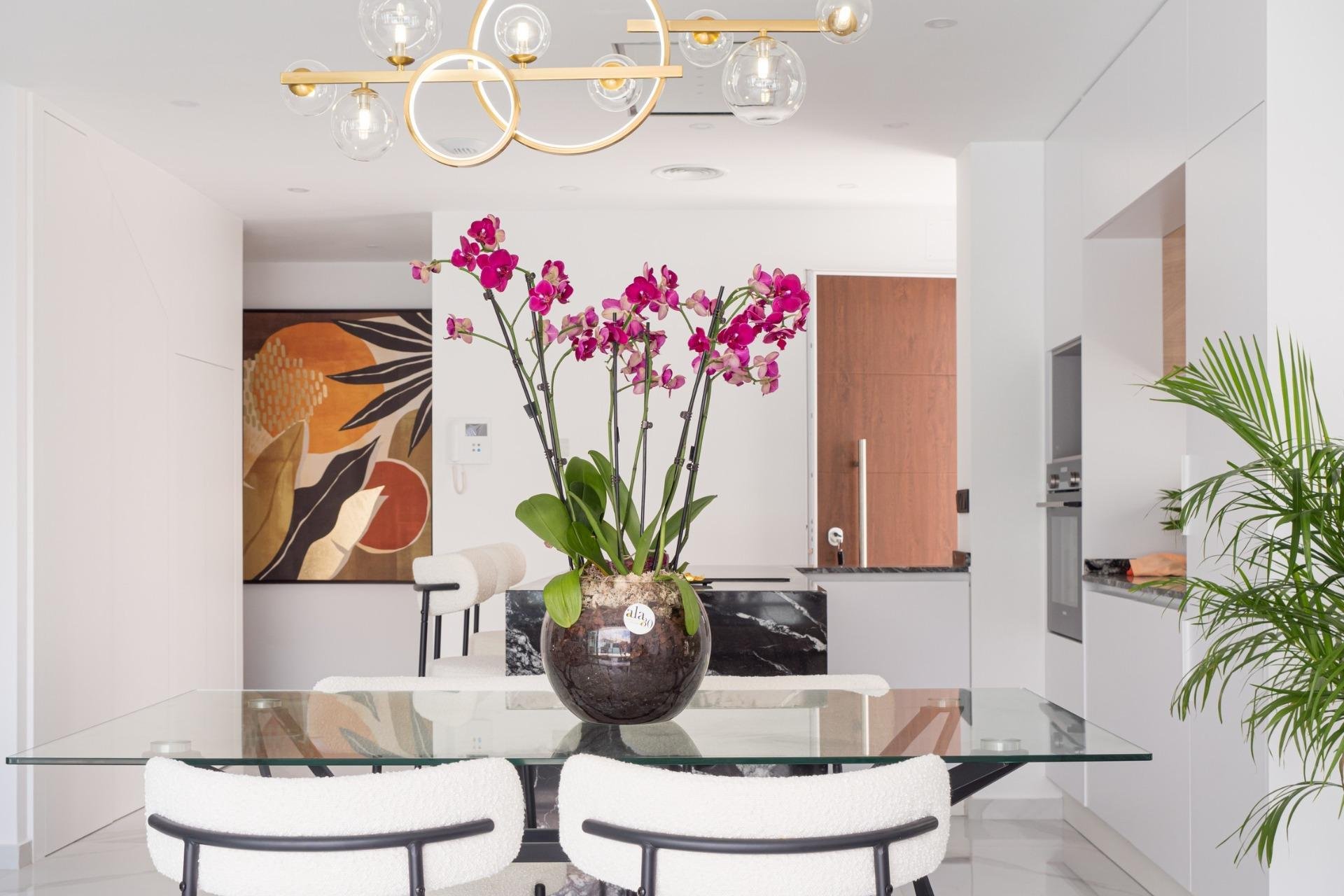 New Build - Villa - San Pedro del Pinatar - San Pedro de Pinatar