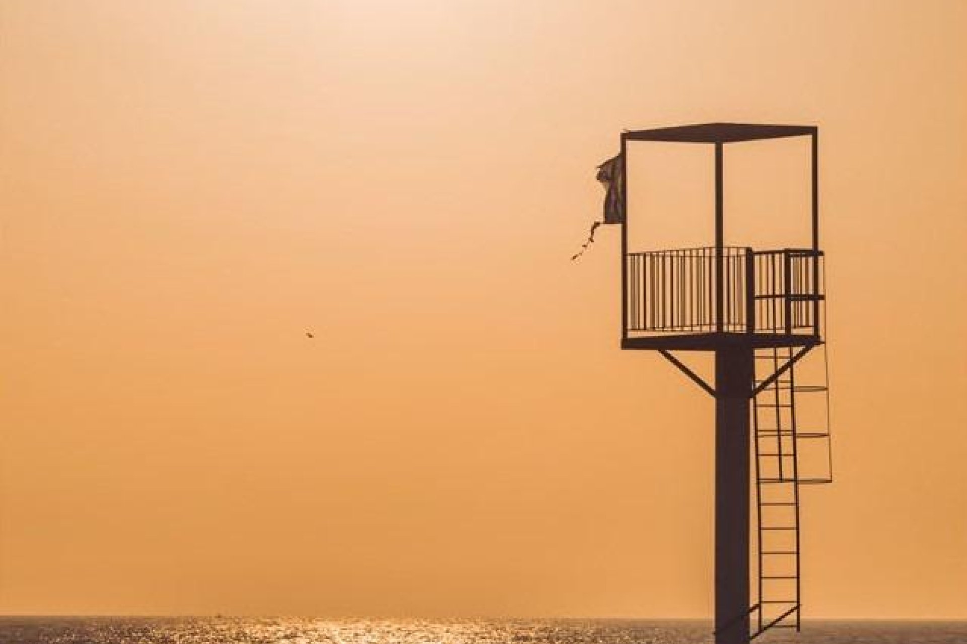 Nieuwbouw - Apartment - Flat - Almerimar