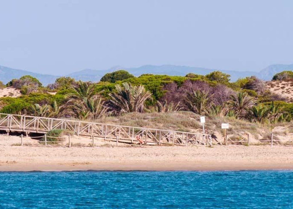 Nieuwbouw - Apartment - Flat - Guardamar del Segura - Pueblo