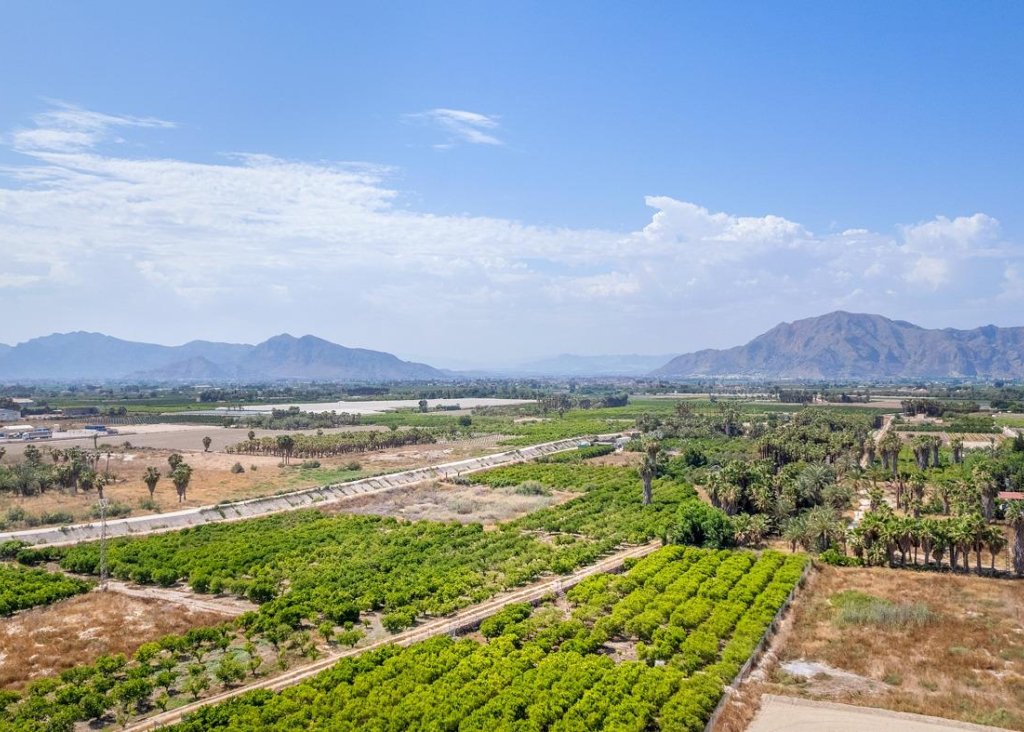 Nieuwbouw - Apartment - Flat - Jacarilla - Pueblo