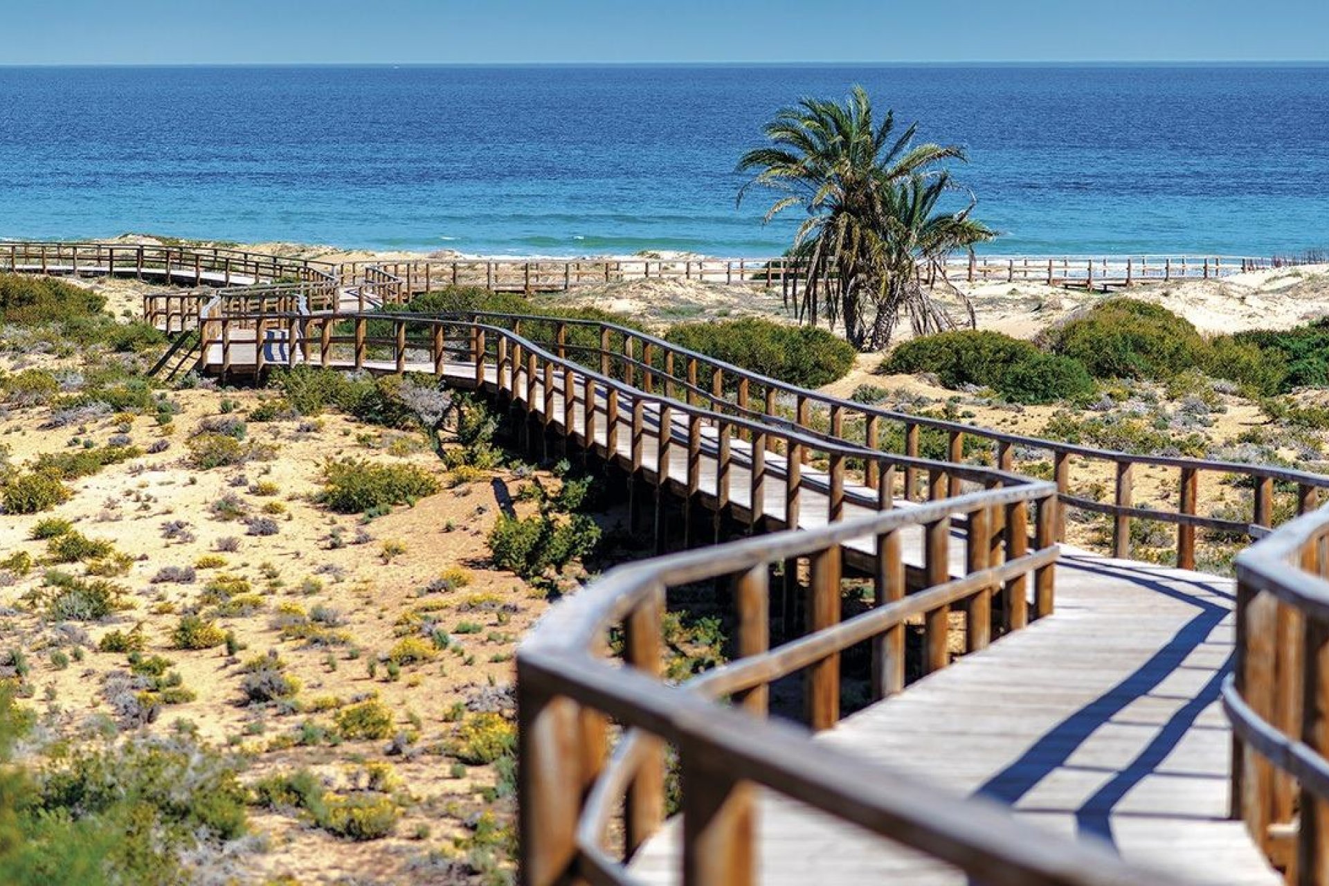 Nieuwbouw - Apartment - Flat - Monforte del Cid - Alenda Golf