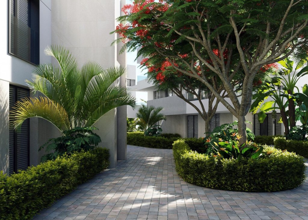 Nieuwbouw - Apartment - Flat - Torre Pacheco - Santa Rosalía