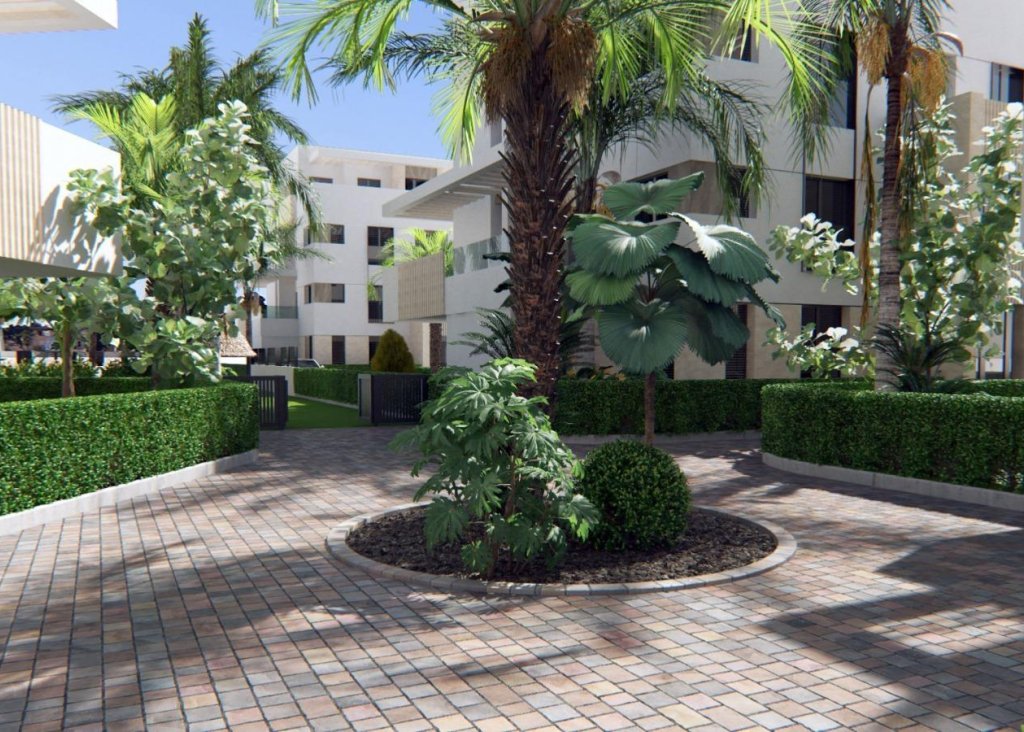 Nieuwbouw - Apartment - Flat - Torre Pacheco - Santa Rosalía