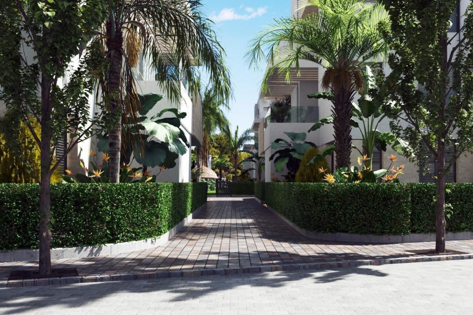 Nieuwbouw - Apartment - Flat - Torre Pacheco - Santa Rosalía