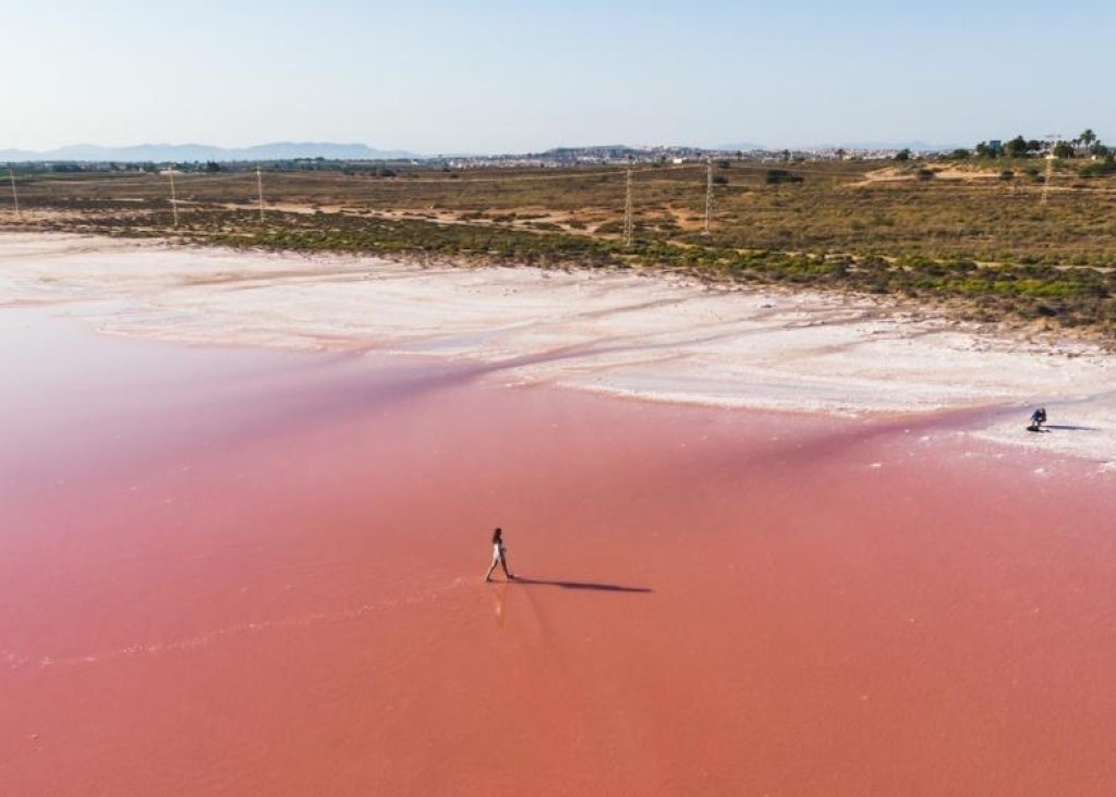 Nieuwbouw - Apartment - Flat - Torrevieja - Habaneras