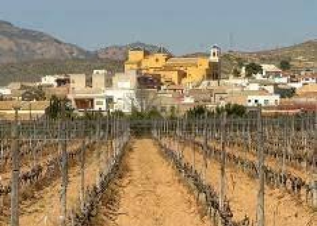 Nieuwbouw - Bungalow - Hondón de las Nieves - El Salero