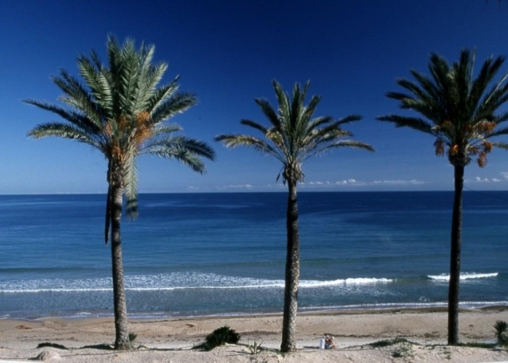 Nieuwbouw - Bungalow - Pilar de la Horadada - Parque Ramon eugenio Escudero