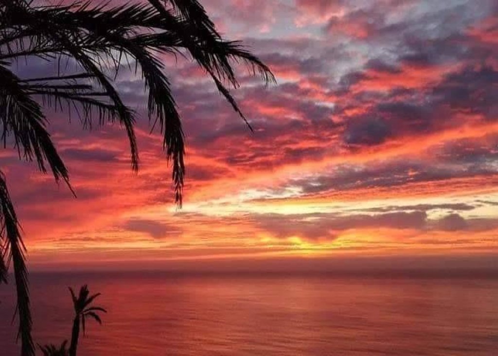 Nieuwbouw - Bungalow - Torrevieja - Altos del Sol