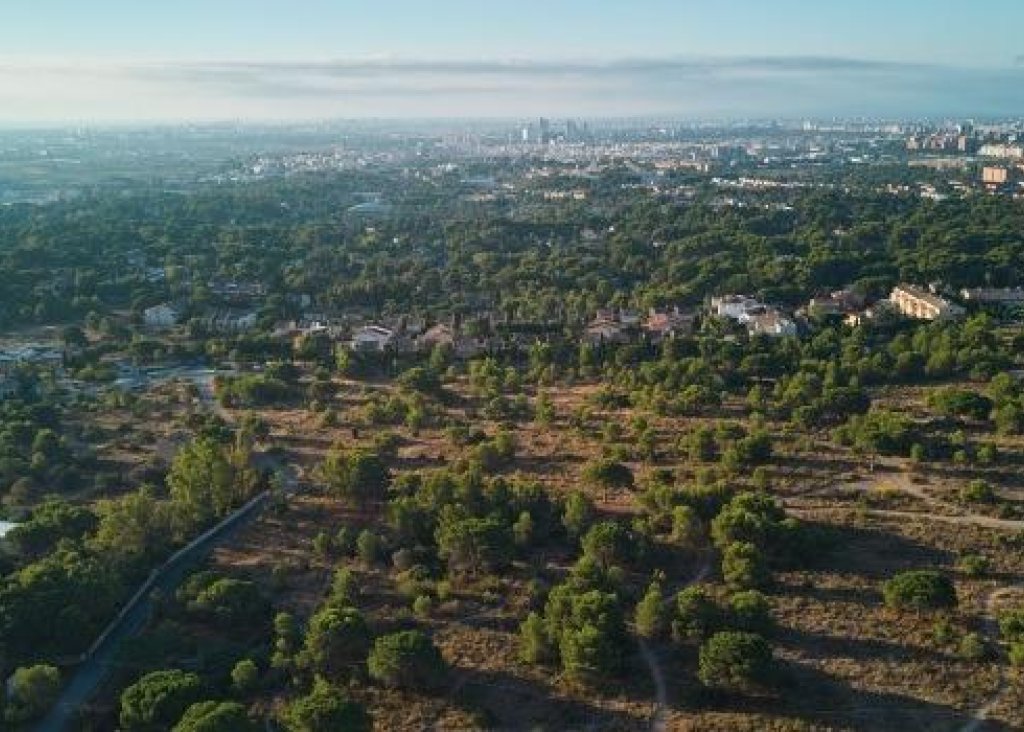 Nieuwbouw - Townhouse - Godella - Campolivar