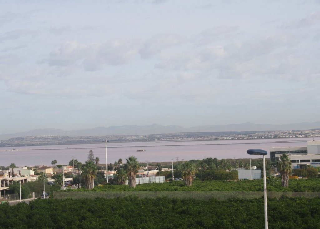 Nieuwbouw - Townhouse - Torrevieja - Los Altos