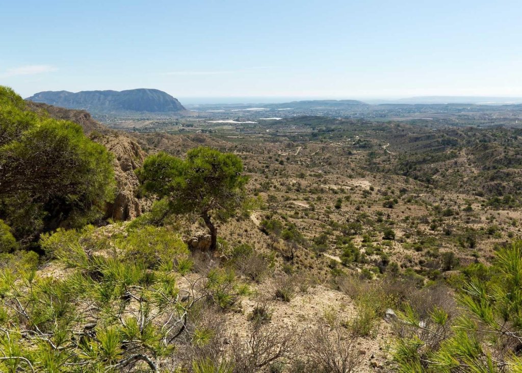 Nieuwbouw - Villa - Aspe - Centro