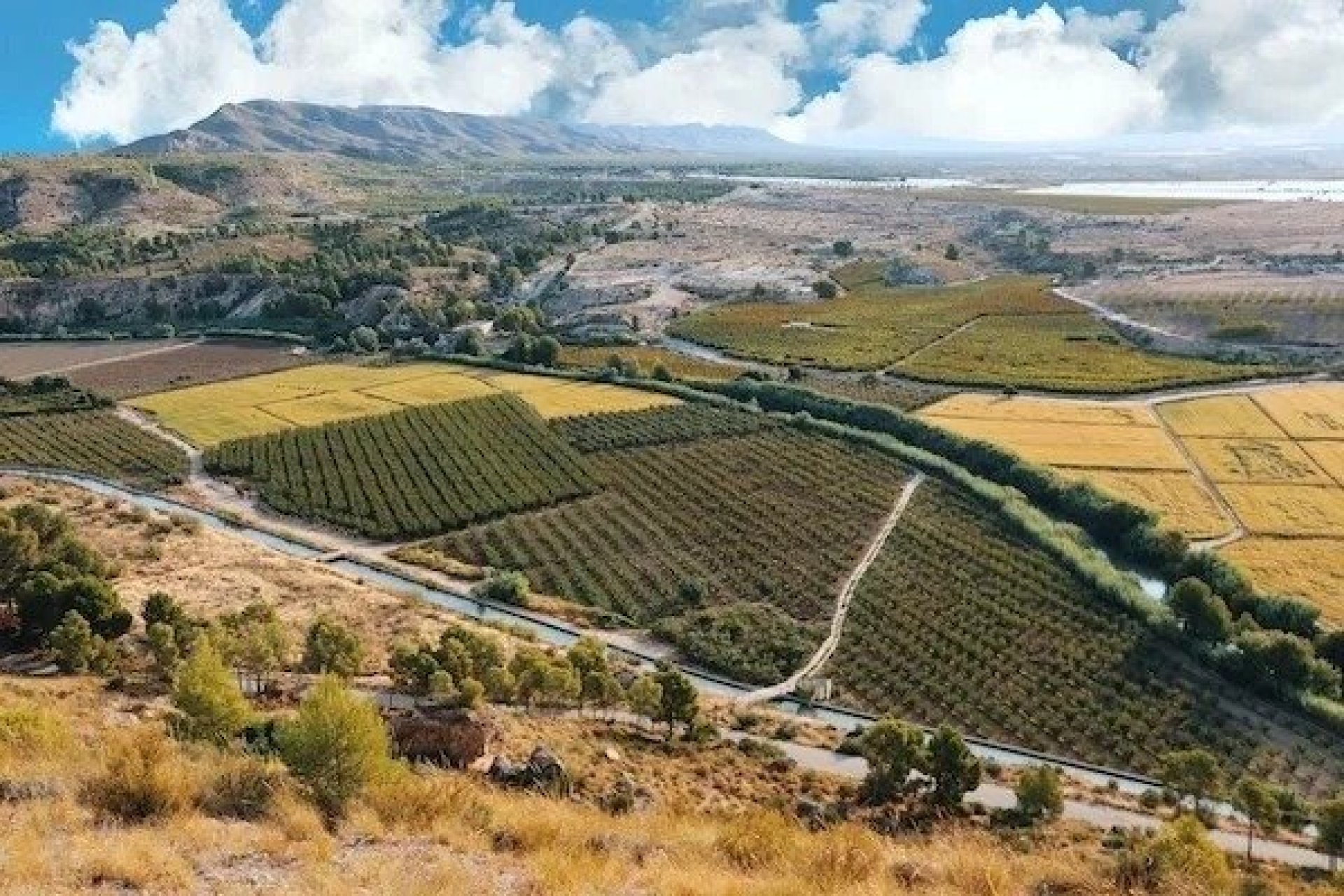 Nieuwbouw - Villa - Calasparra - Coto riñales