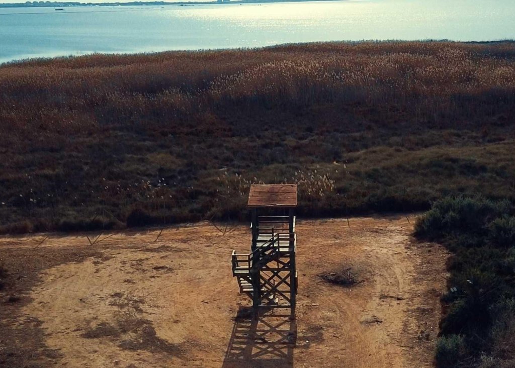 Nieuwbouw - Villa - Los Montesinos - La Herrada