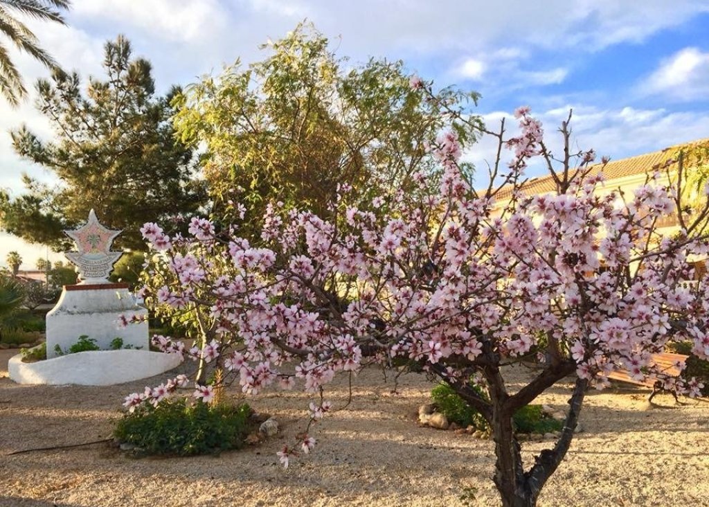 Nieuwbouw - Villa - LOS URRUTIAS - ESTRELLA DE MAR