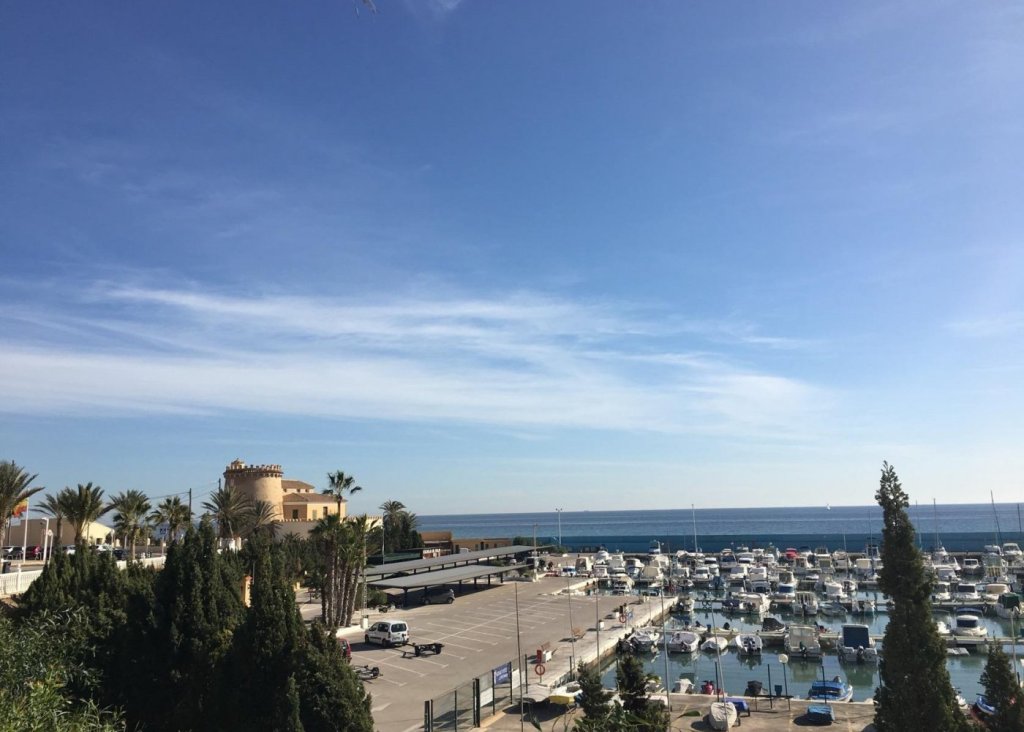 Nieuwbouw - Villa - Pilar de la Horadada - Las Higuericas