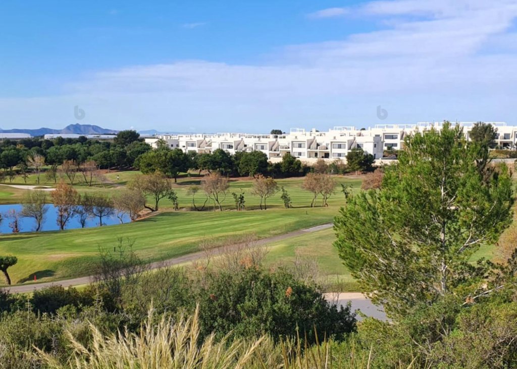 Nieuwbouw - Villa - Pilar de la Horadada - Lo Romero Golf